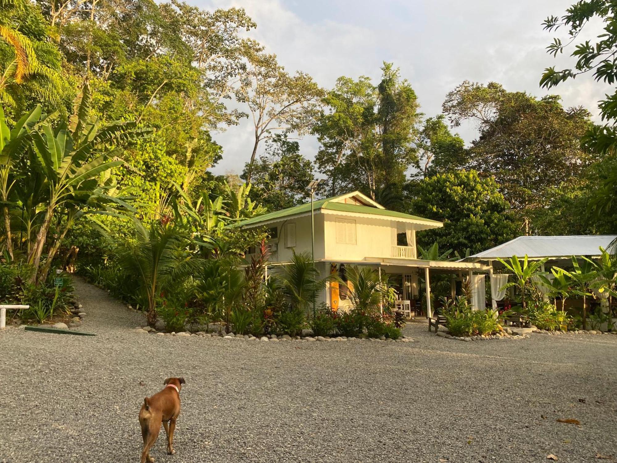 Colina Secreta - Glamping And Villas Puerto Viejo de Talamanca Zewnętrze zdjęcie